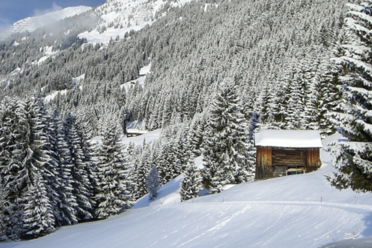 Journée en raquettes à neige du Markstein au Storkenkopf - Bonjour Fun