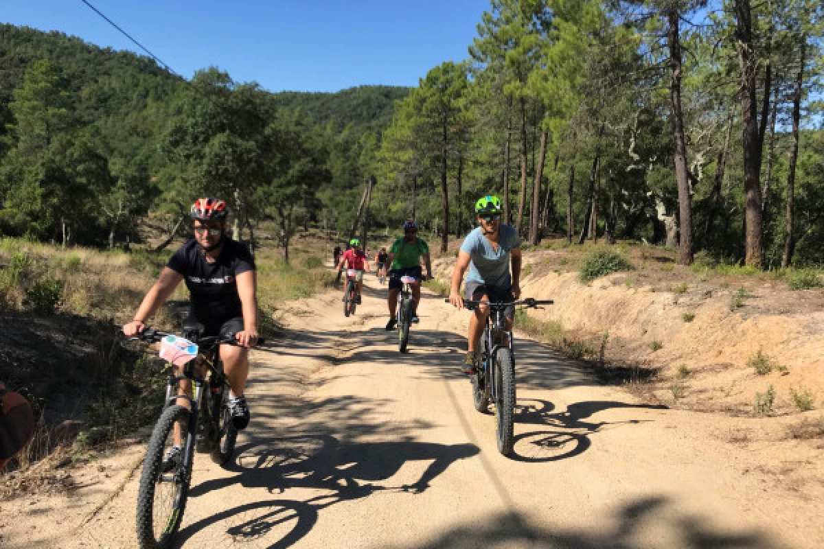 Journée encadrée en VTT électrique - Le sommet de l'Estérel - Spécial Groupes - Bonjour Fun