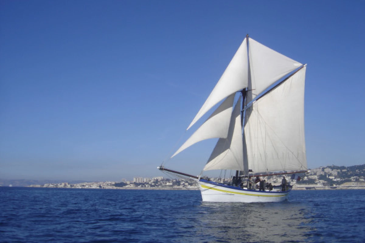 Journée Excursion à la Voile - Bonjour Fun