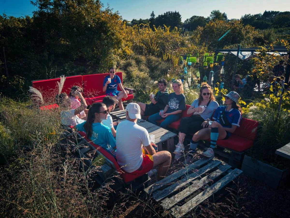 Journée Pique Nique chez le Vigneron 7, 8 et 9 juin 2025 - Bonjour Fun