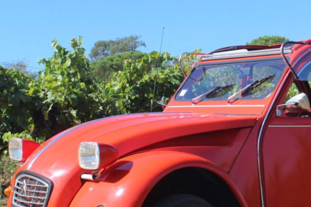 Journée Vintage vignobles du Golfe de Saint Tropez - Bonjour Fun