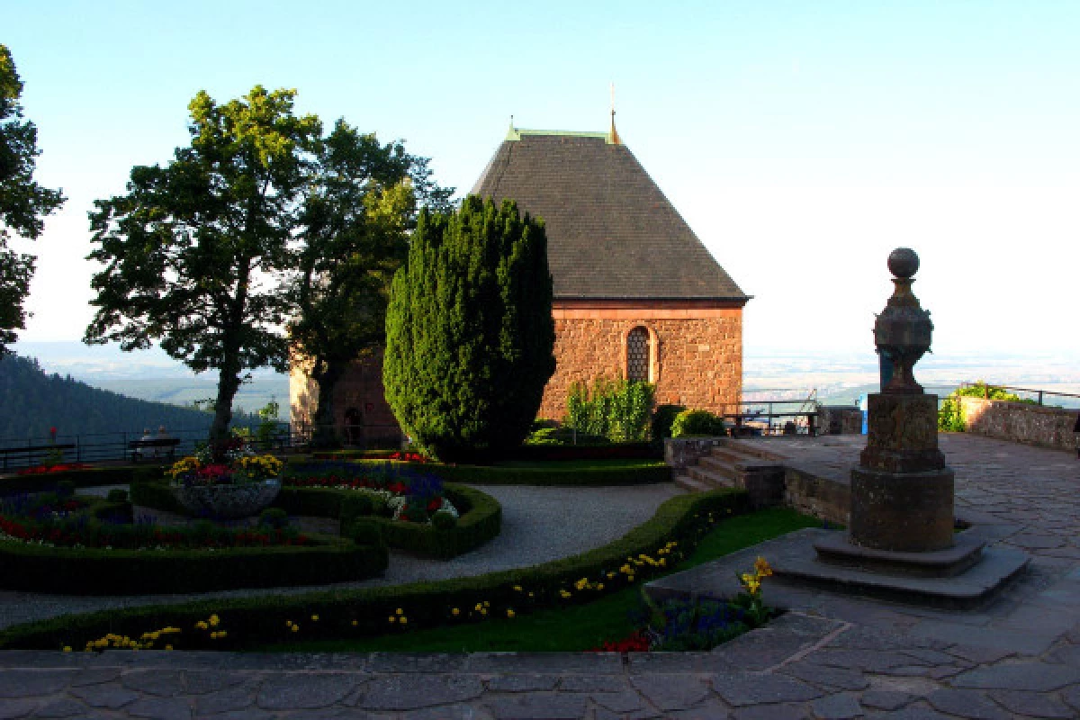 L'Abbaye du Mont Sainte Odile et le mur païen - 1/2jour - Bonjour Fun