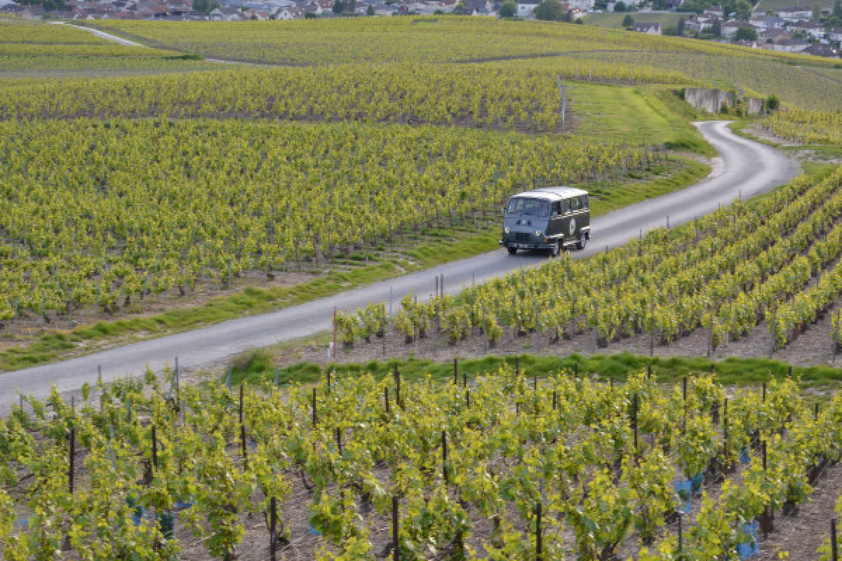 L’Essentiel Tour au départ d'Epernay - Bonjour Fun