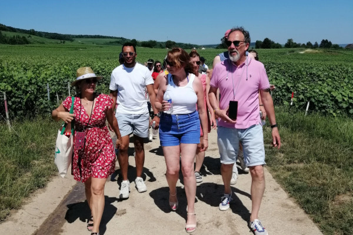 L'Immersion Gourmande - Balade, Visite & Gastronomie - Bonjour Fun