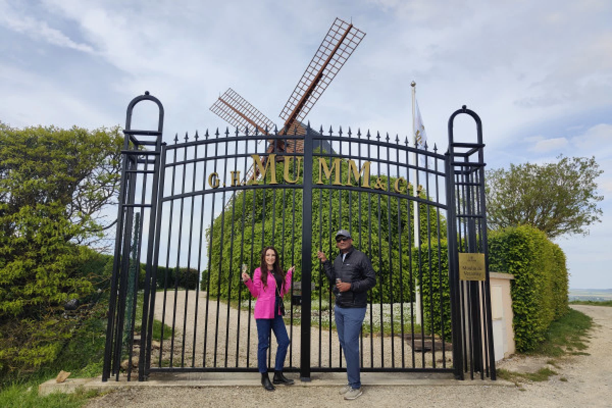 L'incontournable dégustation Millésimé vue sur Reims - Bonjour Fun