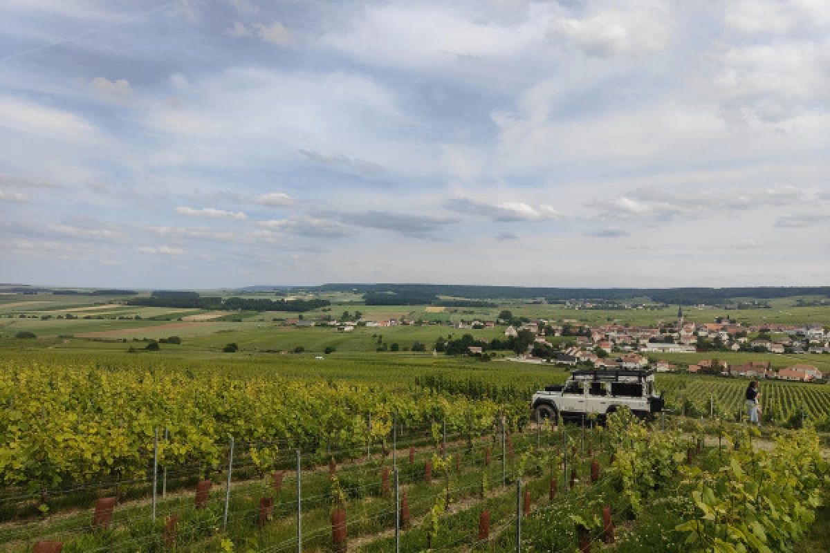 L'incontournable dégustation Millésimé vue sur Reims - Bonjour Fun