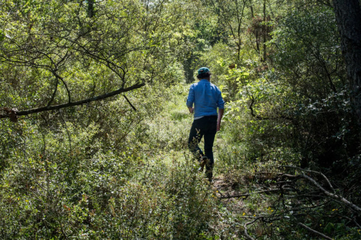 La balade biodiversité entre vigne et forêt - Bonjour Fun