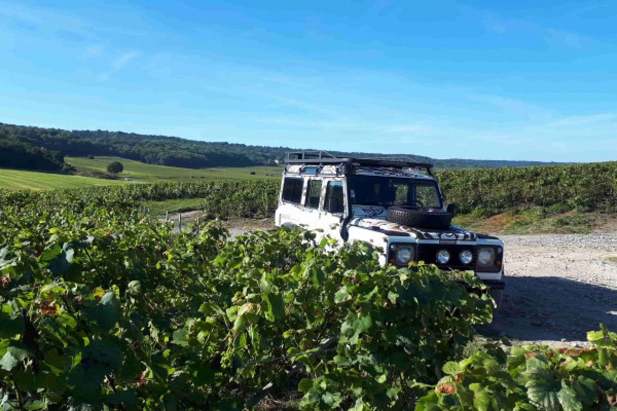 La Champenoise Brut tradition visite de cave et vignoble - Bonjour Fun