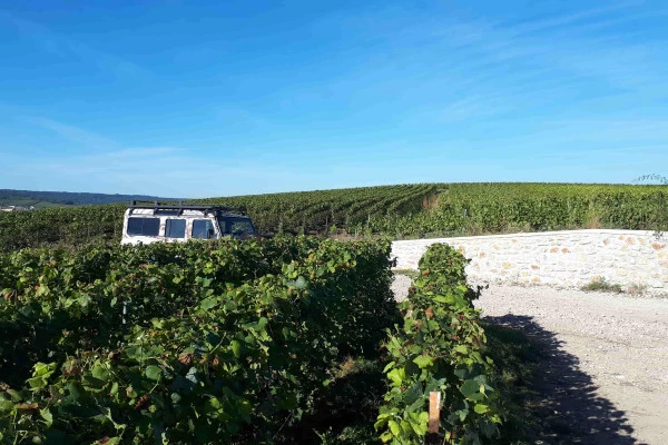 La champenoise, visite & dégustation brut tradition. - Bonjour Fun