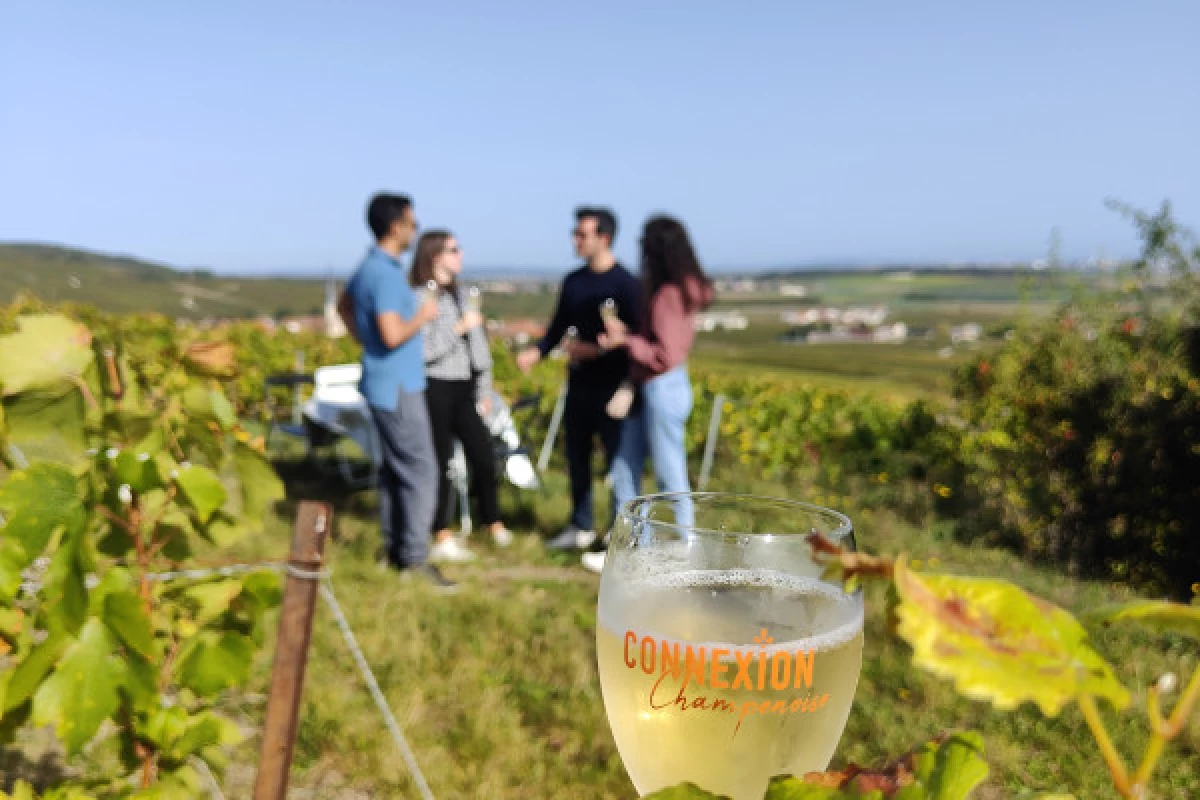 La Terre & Ciel  4h00 vignoble, vol et dégustation - Bonjour Fun