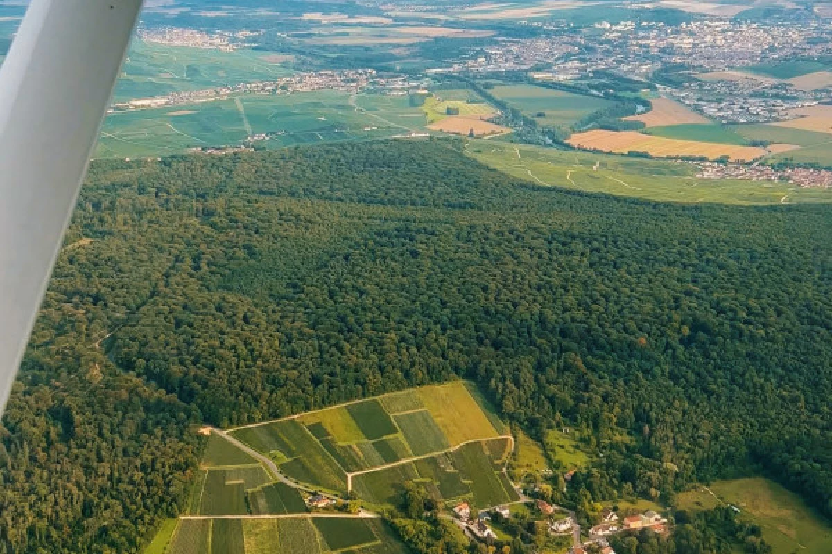 La Terre & Ciel  4h00 vignoble, vol et dégustation - Bonjour Fun