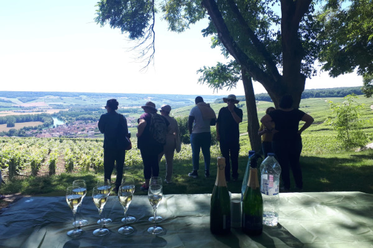 La Terre & Ciel  4h00 vignoble, vol et dégustation - Bonjour Fun