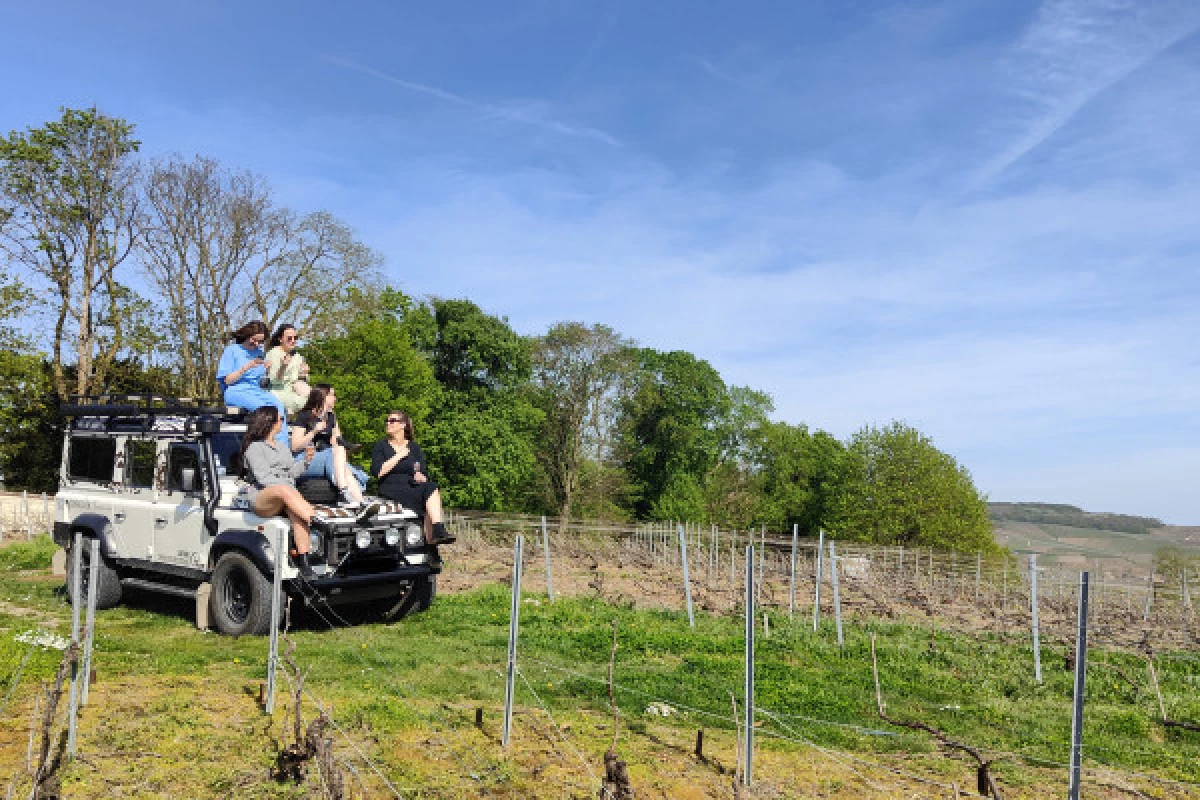 La Terre & Ciel 8h00 Business vignoble vol & dégustation - Bonjour Fun