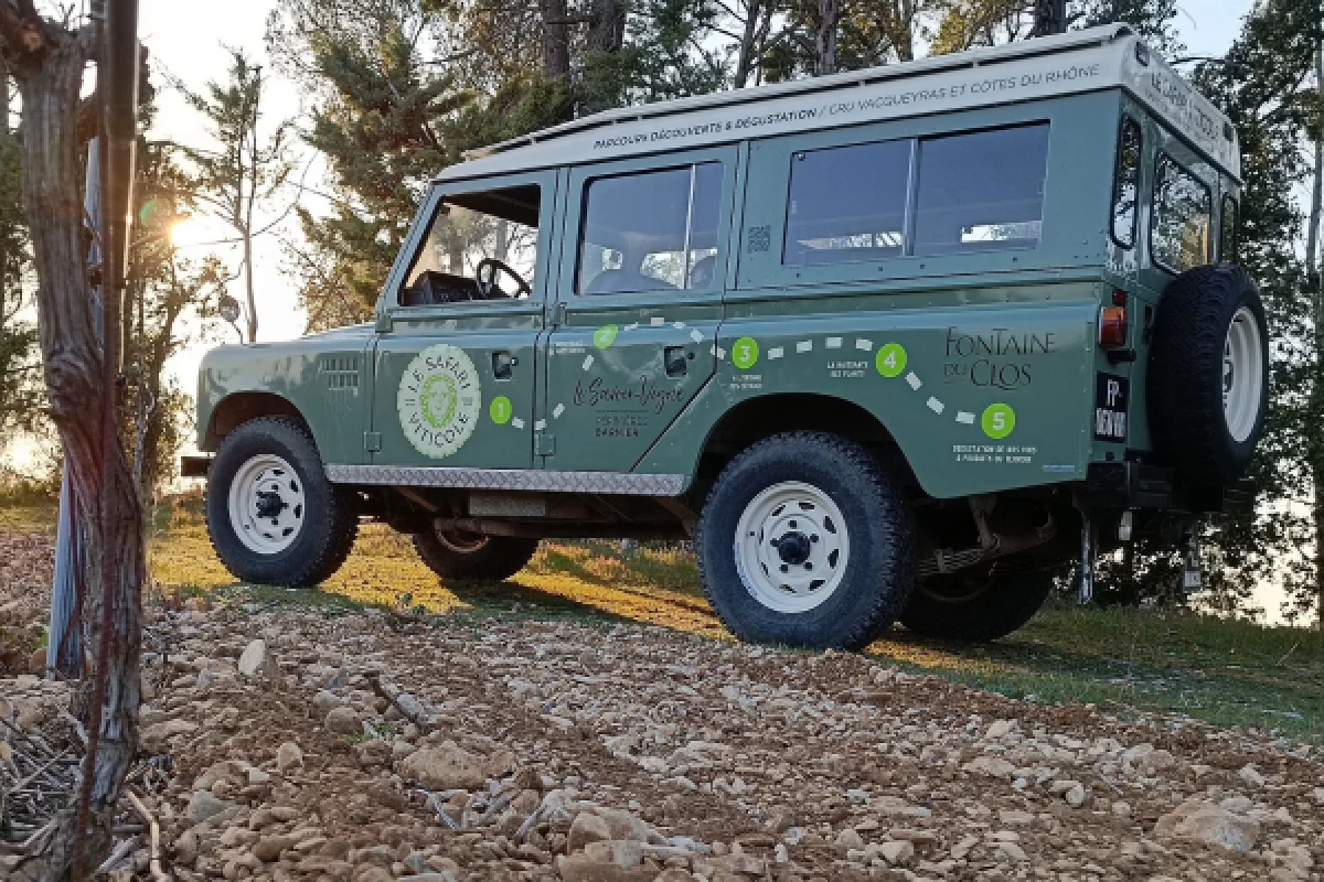 SAFARI VITICOLE EN LAND ROVER - Bonjour Fun