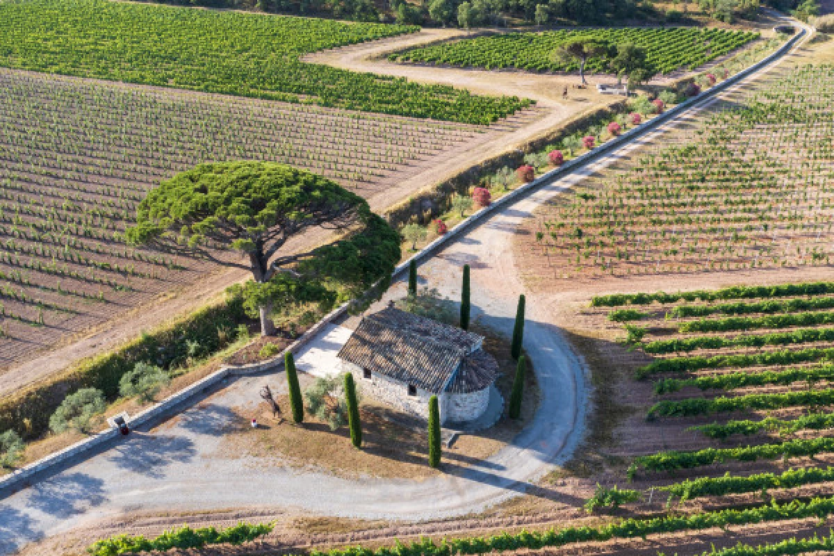 Le Clos des Roses - Visite audio du domaine et des caves - Bonjour Fun