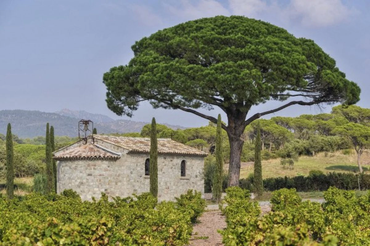 Le Clos des Roses - Visite libre du domaine et des caves - Bonjour Fun