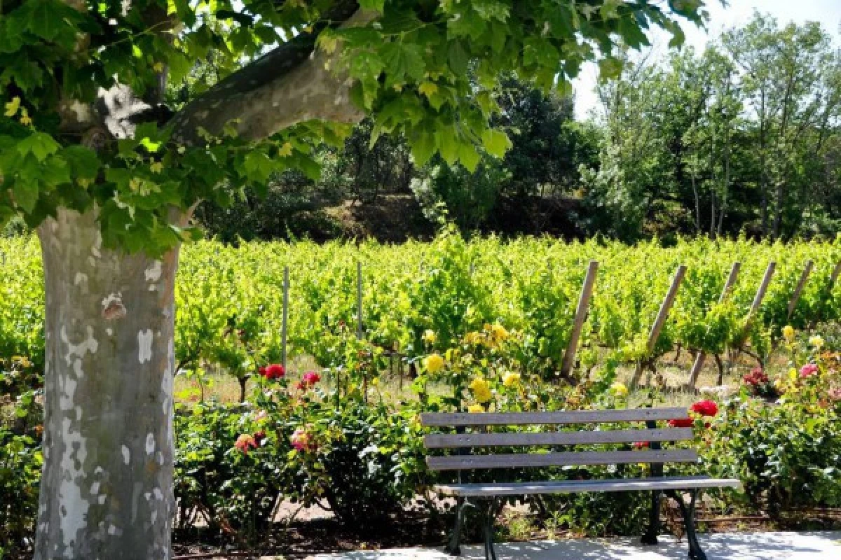 Le Clos des Roses - Visite libre du domaine et des caves - Bonjour Fun