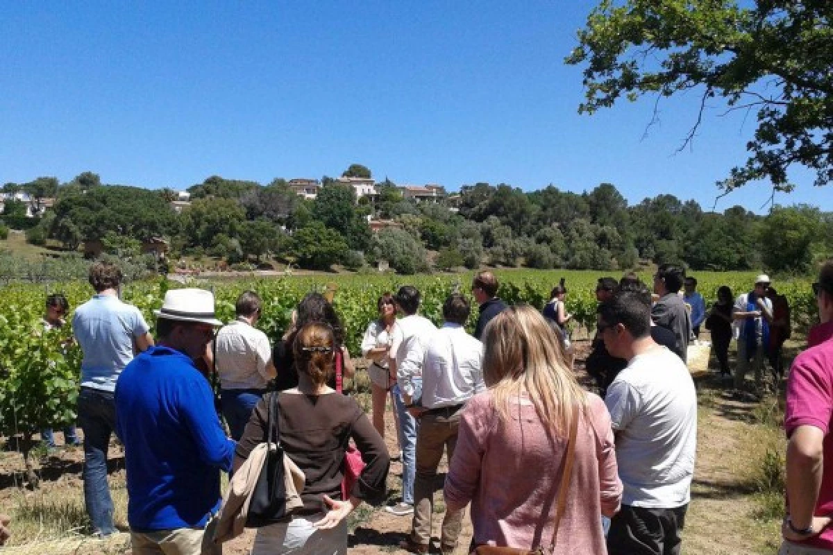 Le Clos des Roses - Visite libre du domaine et des caves - Bonjour Fun