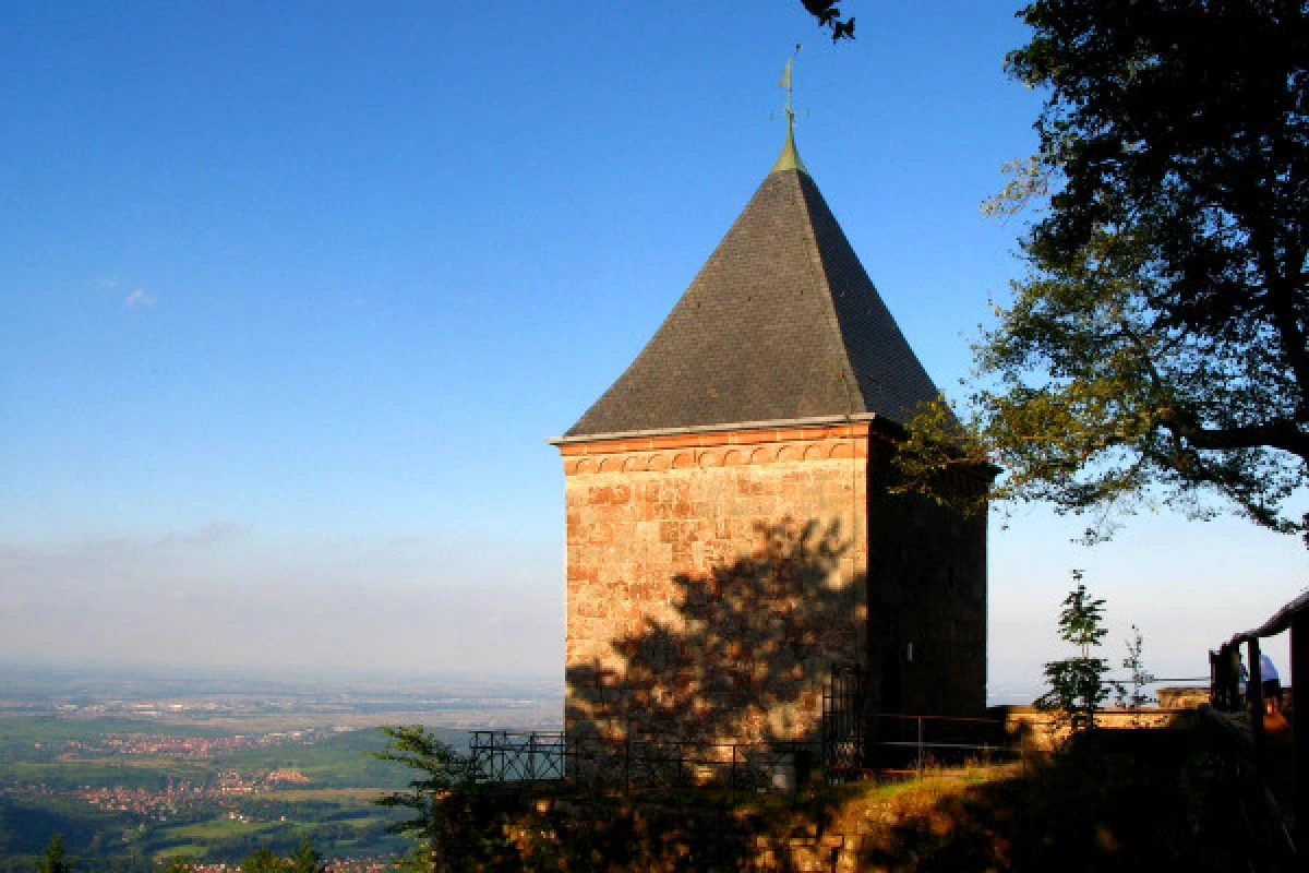 Le Mont Sainte Odile à la journée - Bonjour Fun