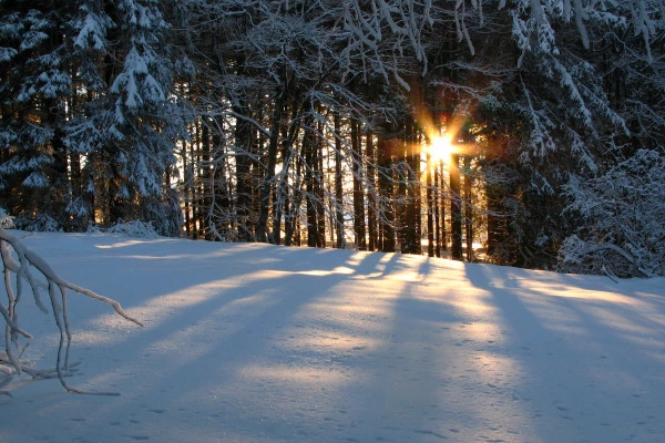 Le Champ du Feu en raquettes à neige - Bonjour Fun