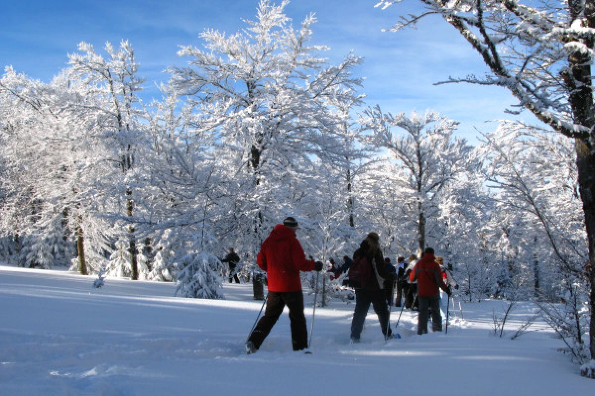 Les balcons du Lac Blanc en raquettes à neige - Bonjour Fun