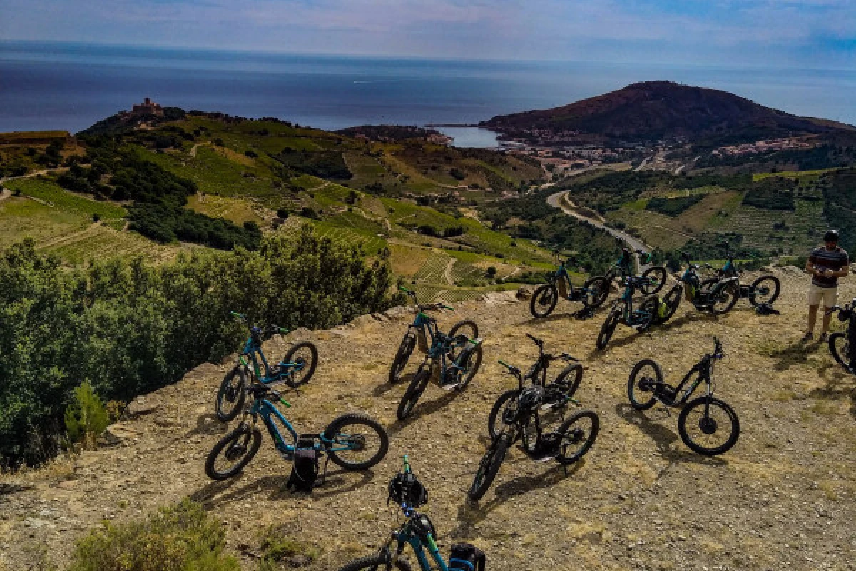 LES HAUTS DE COLLIOURE, ENTRE TERRE ET MER - Bonjour Fun