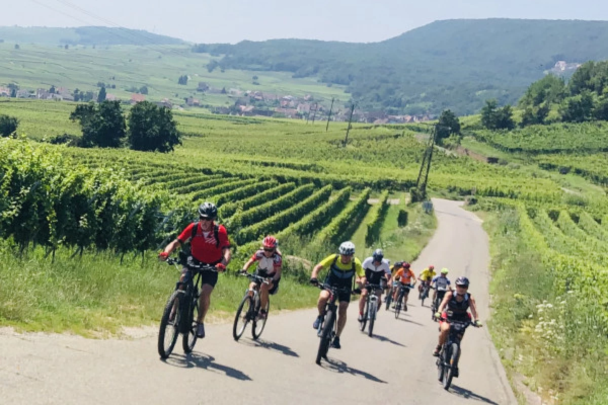 Les Perles et les Routes du Vignoble d’Alsace - Bonjour Fun