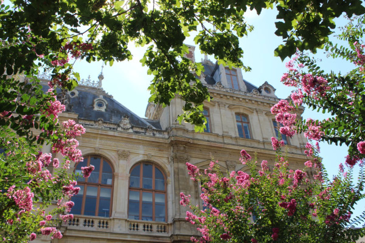 Les secrets de la Presqu'île de Lyon - Bonjour Fun