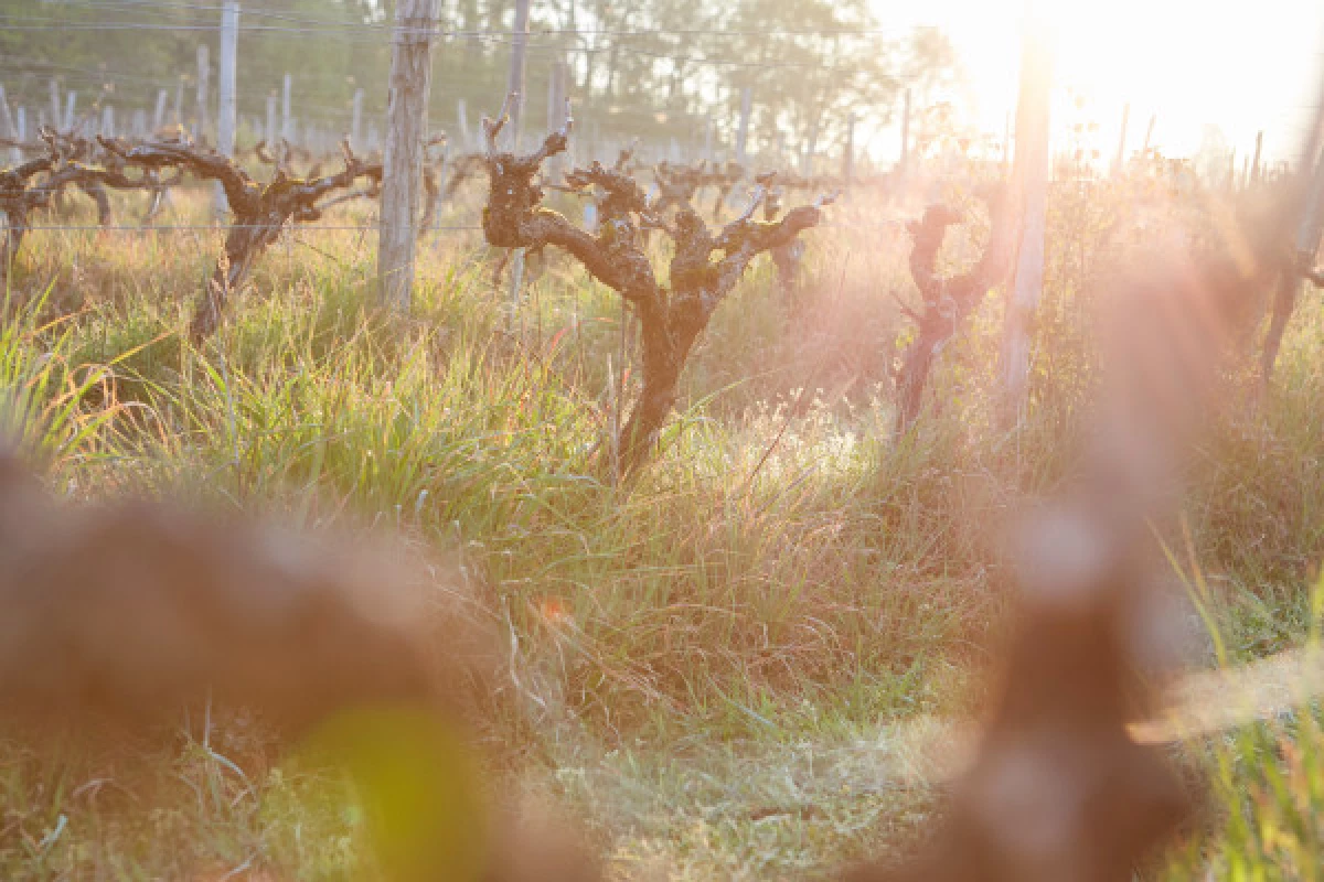 LES SECRETS DU HAUT-ARMAGNAC - Bonjour Fun