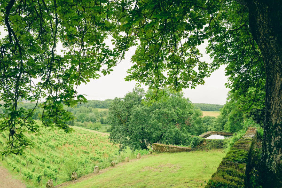 LES SECRETS DU HAUT-ARMAGNAC - Bonjour Fun