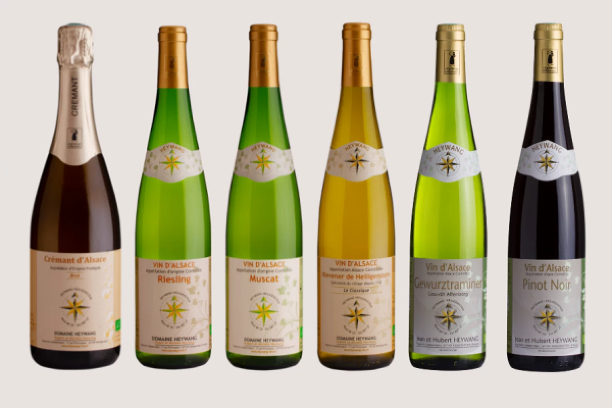 Les vins d'Alsace, tout un univers ! - Bonjour Fun