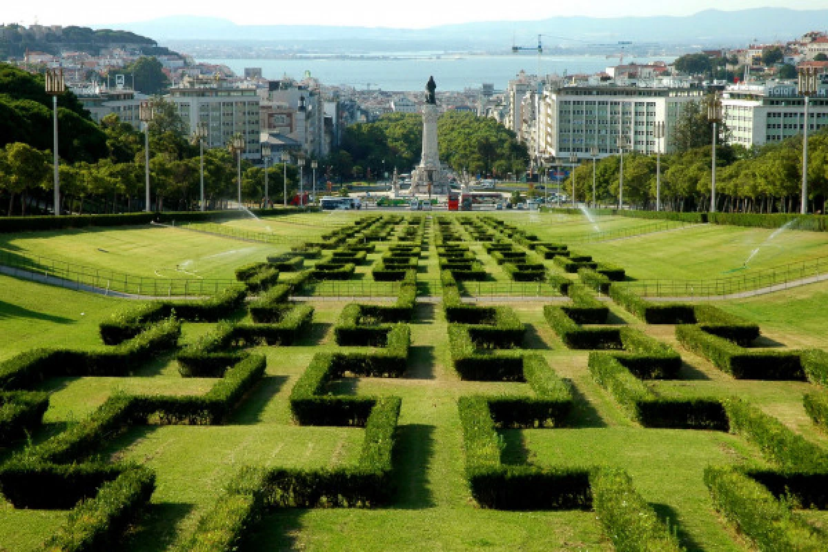 Lisbon Viewpoints Tuk Tuk Tour - Bonjour Fun