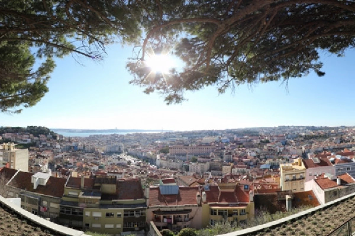 Lisbon Viewpoints Tuk Tuk Tour - Bonjour Fun