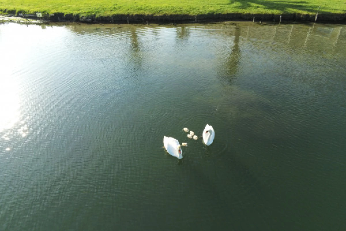 Location bateau sans permis sur la rivière de la Siagne - Bonjour Fun