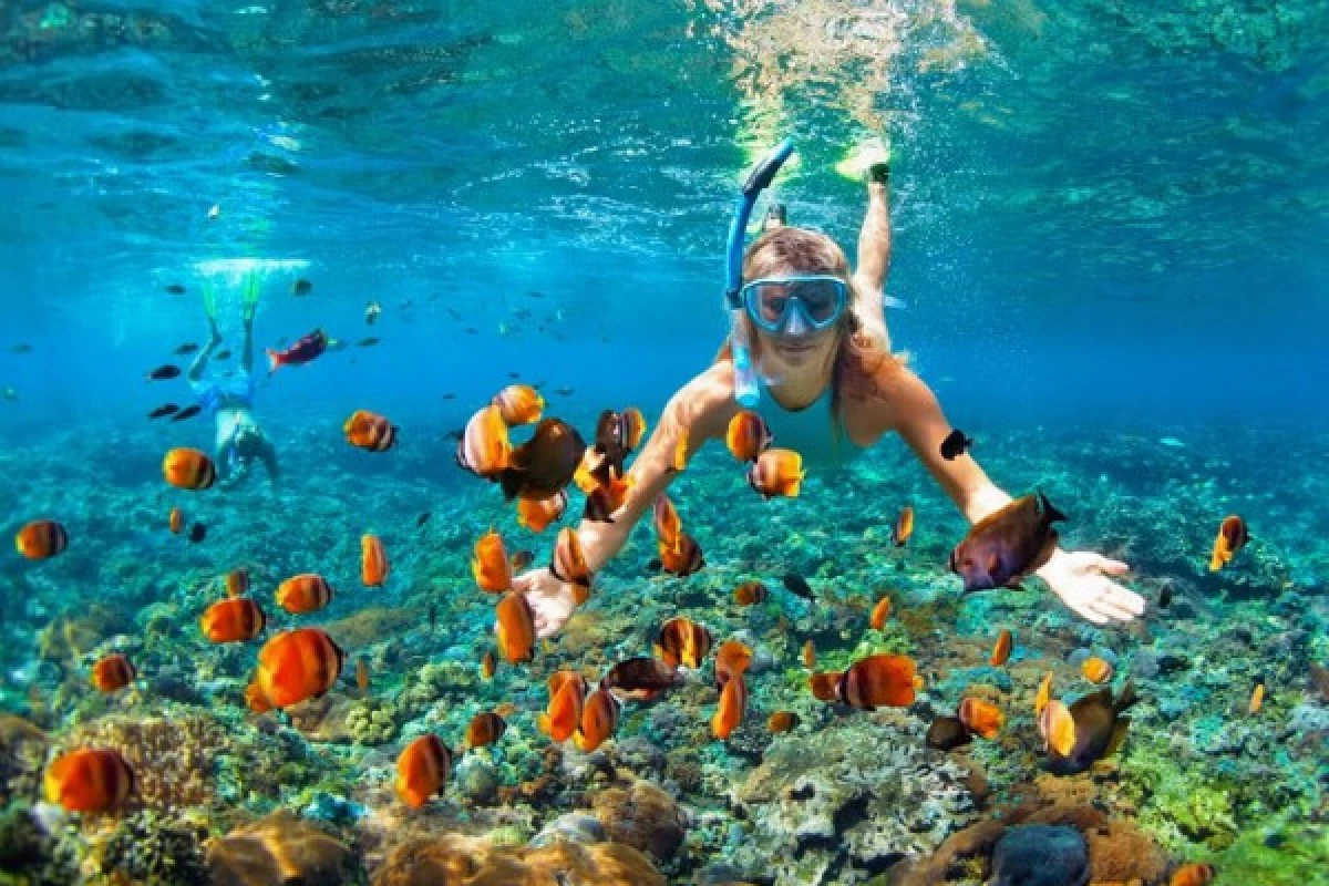  Location de matériel de snorkeling  - plage de la Madrague - Bonjour Fun