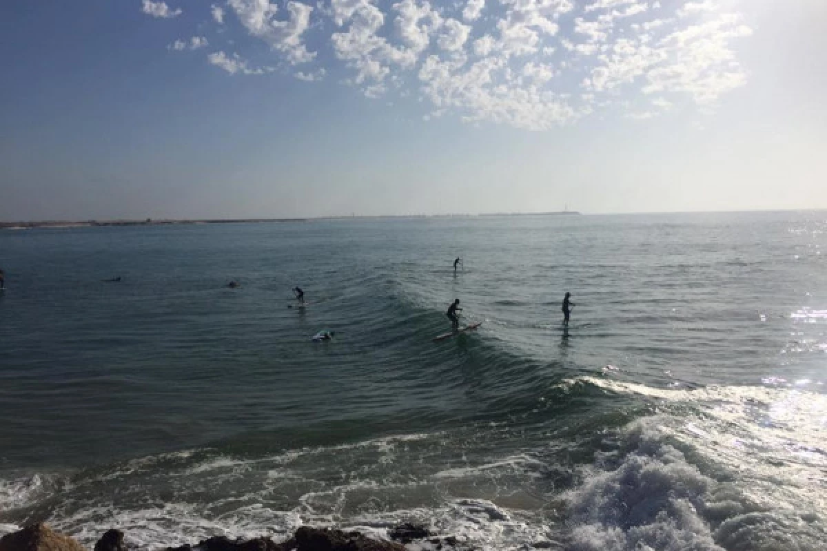 Location de Paddle - Fréjus Plage - PROMO - Bonjour Fun