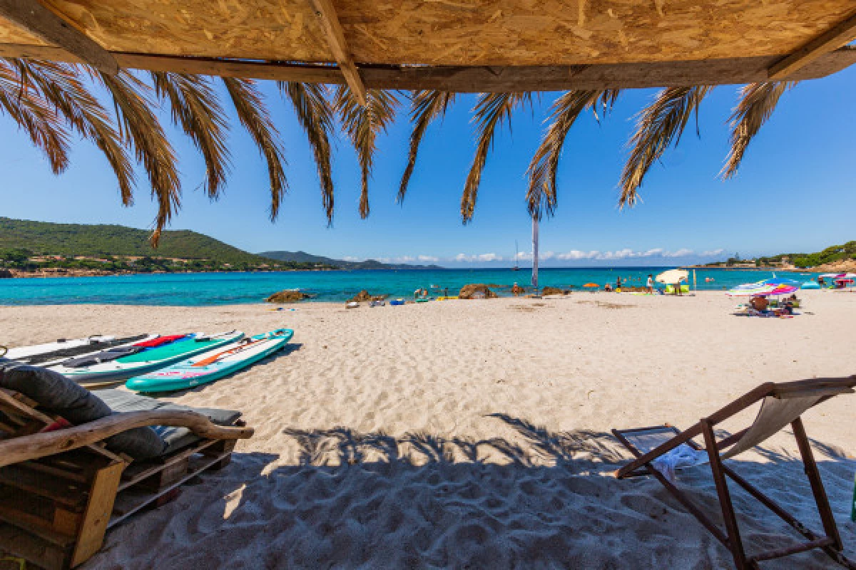 Location de paddle sur la plage du Ruppione - Bonjour Fun