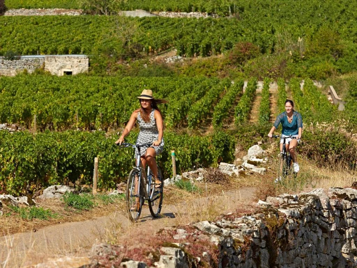 Location de vélo en Bourgogne - Bonjour Fun