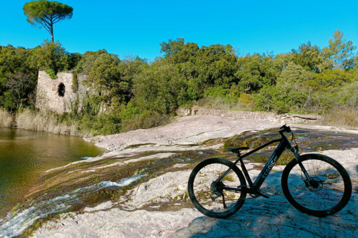 Location de vélo ou VTT - Livraison St Raphaël/Fréjus/St Aigulf - Bonjour Fun