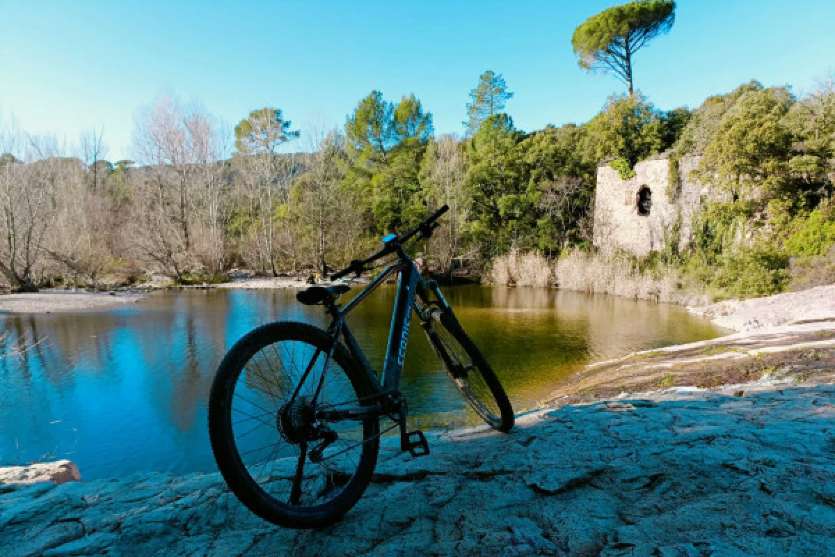 Location de vélo ou VTT - Livraison St Raphaël/Fréjus/St Aigulf - Bonjour Fun