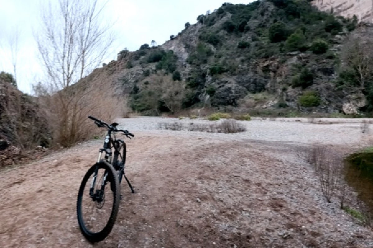 Location de vélo ou VTT - Livraison St Raphaël/Fréjus/St Aigulf - Bonjour Fun