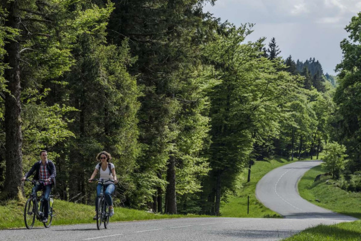 Location de vélos à assistance électrique - Bonjour Fun