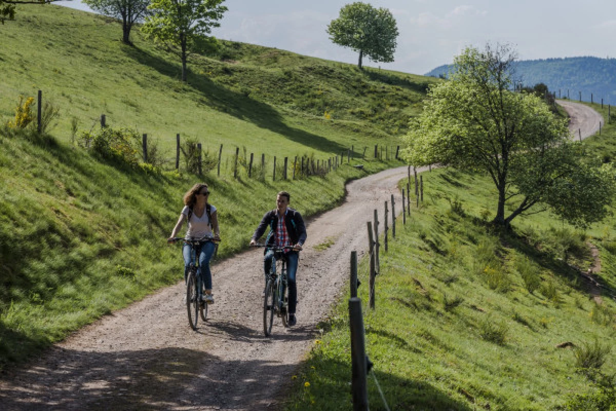 Location de vélos à assistance électrique - Bonjour Fun