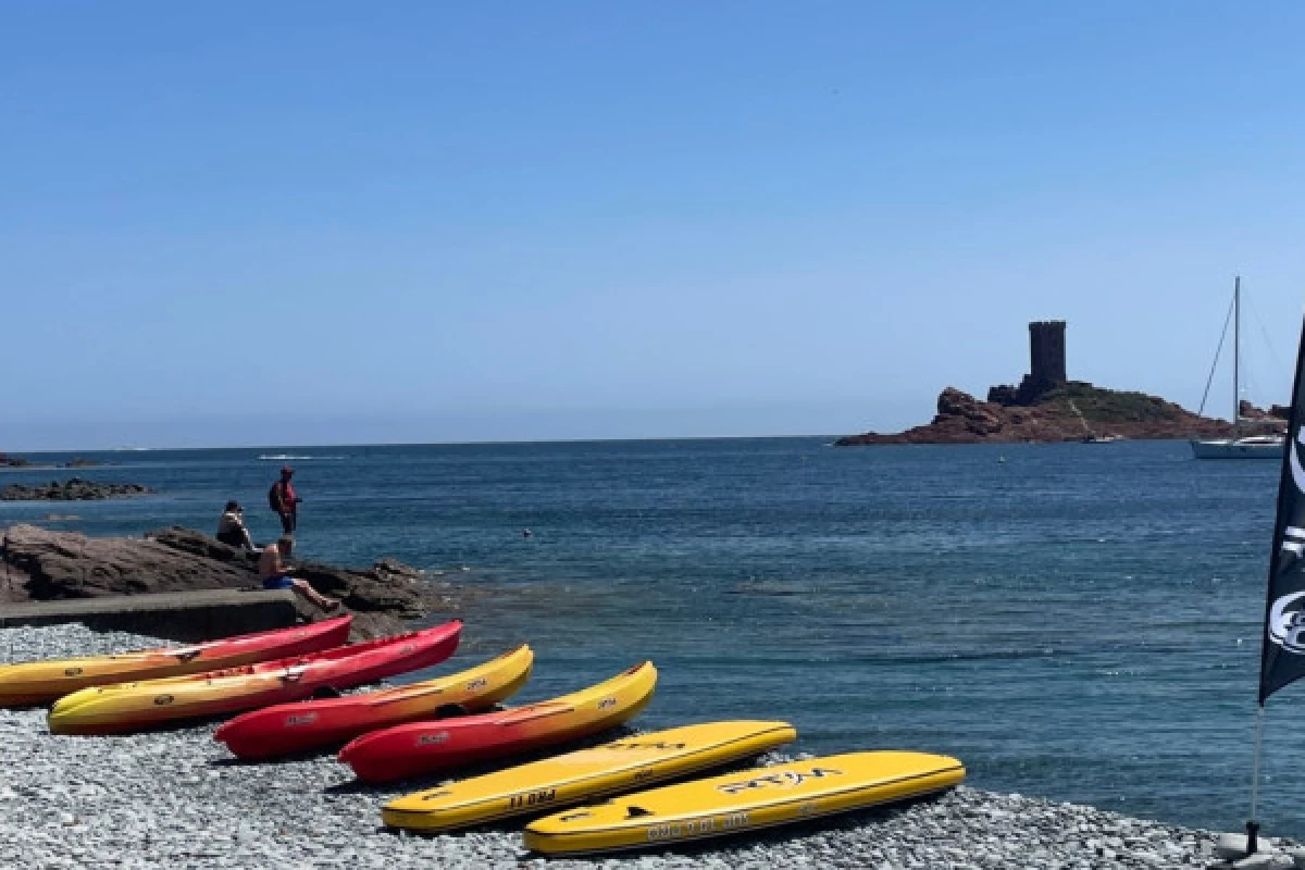 Location Paddle - En face de l'Ile d'or - Bonjour Fun