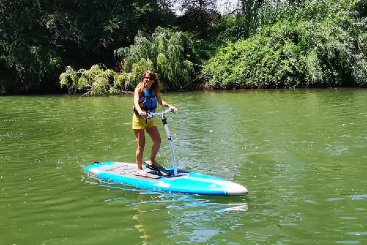 Location Paddle Stepper - Bonjour Fun