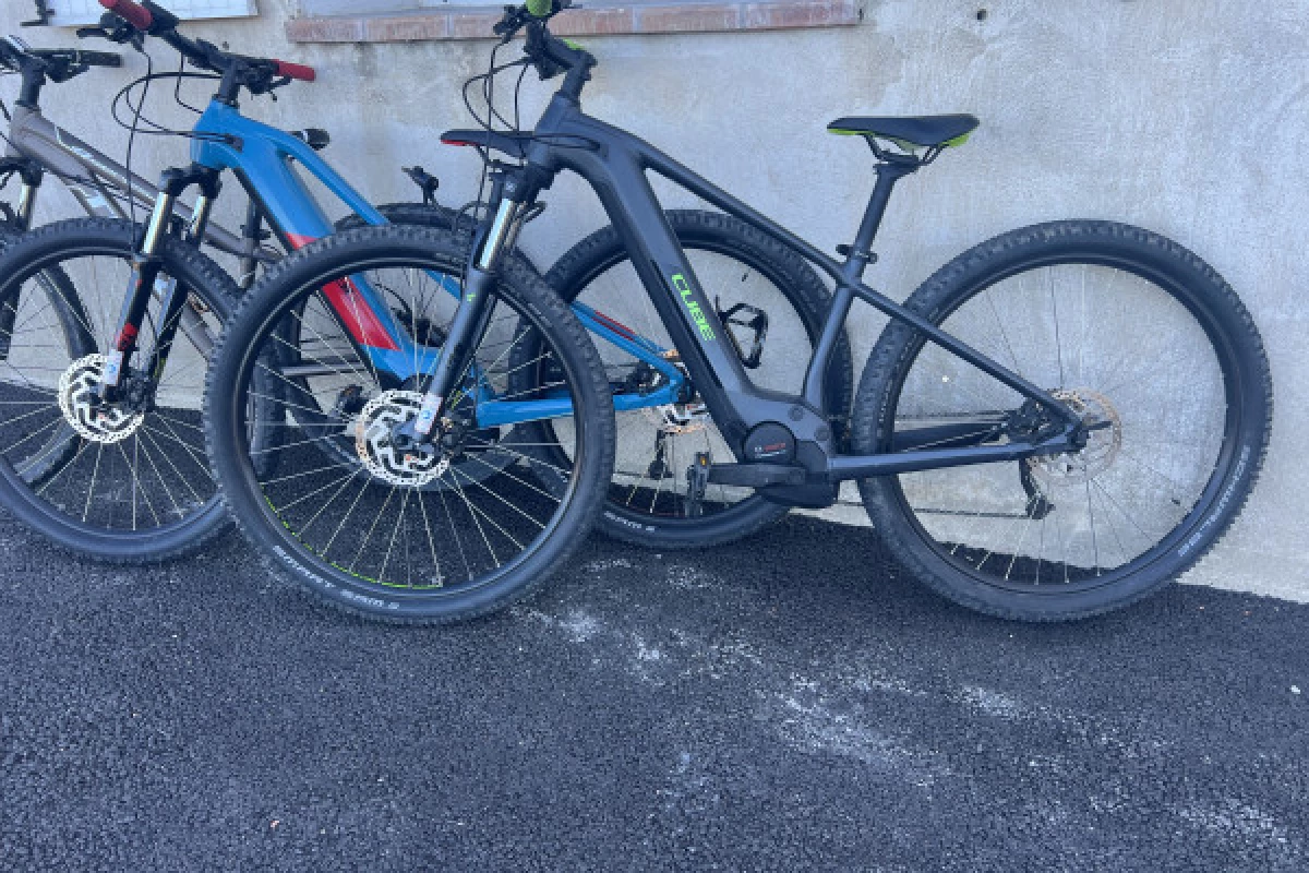 Location vélo électrique VTT et Vélo de ville Bagnols en forêt - Bonjour Fun