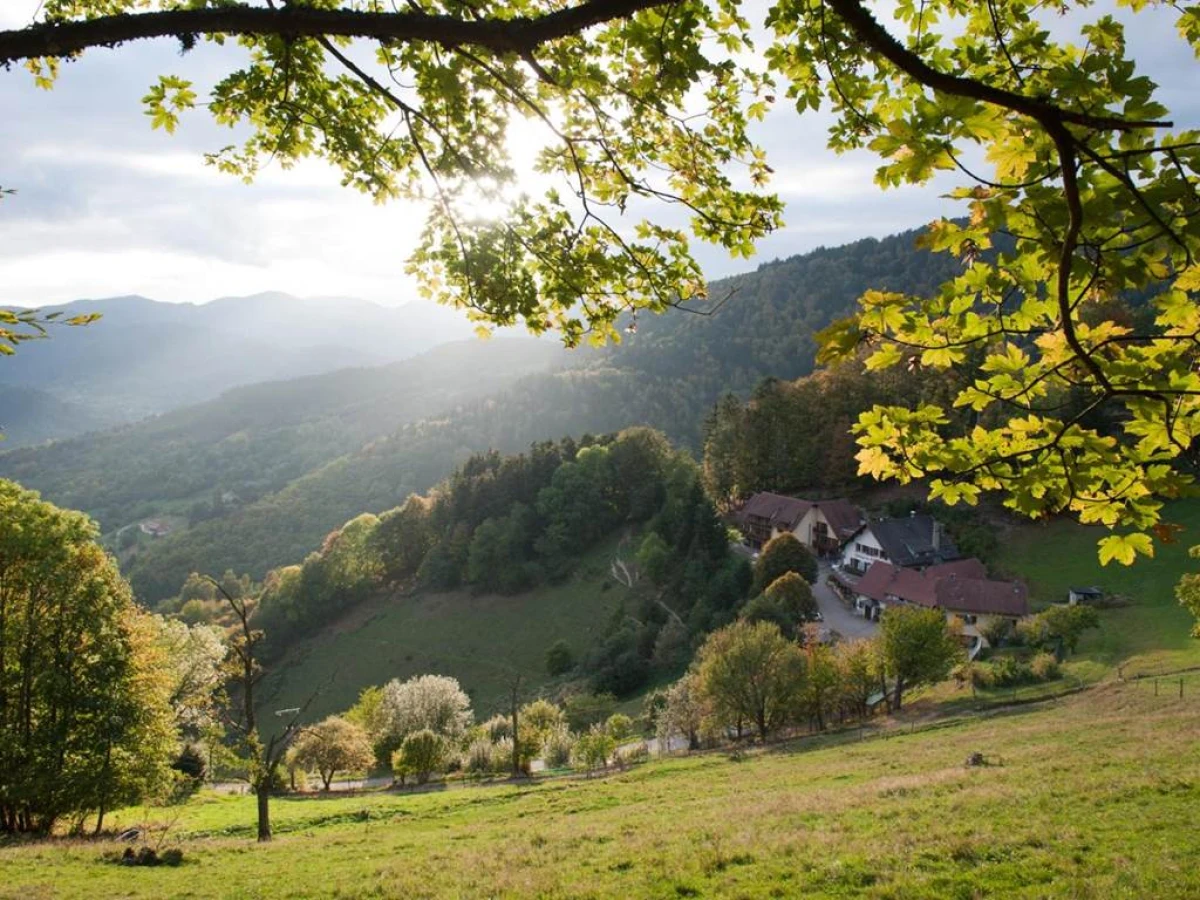 Logis Auberge Du Mehrbachel - Hôtel & Restaurant - Bonjour Fun