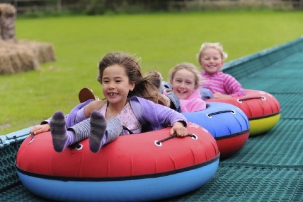 Luge Tubbing - Turini Camp d'Argent - PROMO - Bonjour Fun