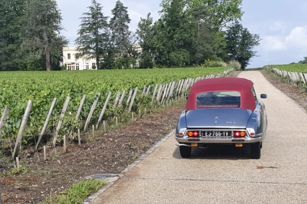 Luxueux tour privé de Bordeaux et des vignobles - Bonjour Fun