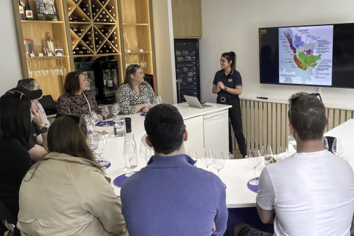 Masterclass - Dégustation Vins à Bordeaux - Bonjour Fun